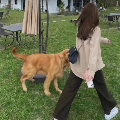 尘网曦光