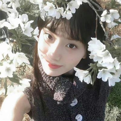 求爱算命师